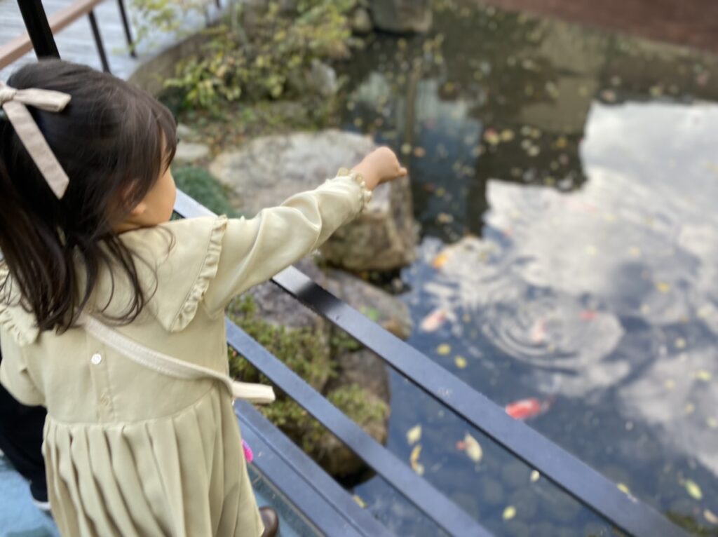 フォーシーズンズ京都で鯉に餌やりをする女の子
