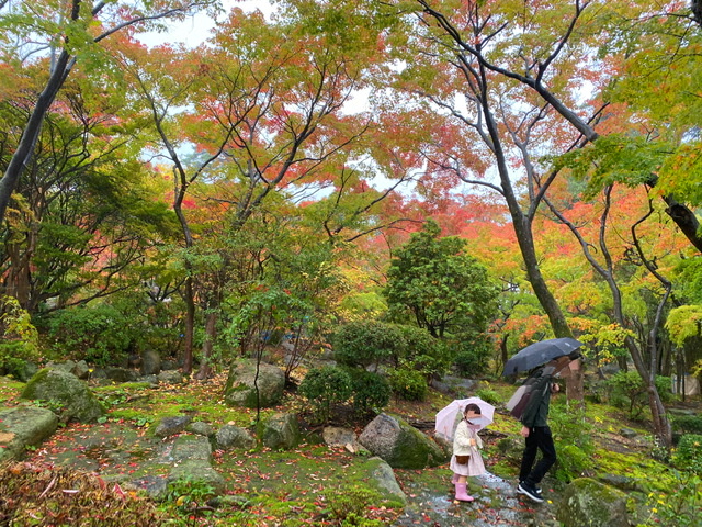 堀江オルゴール博物館の庭にある紅葉と親子