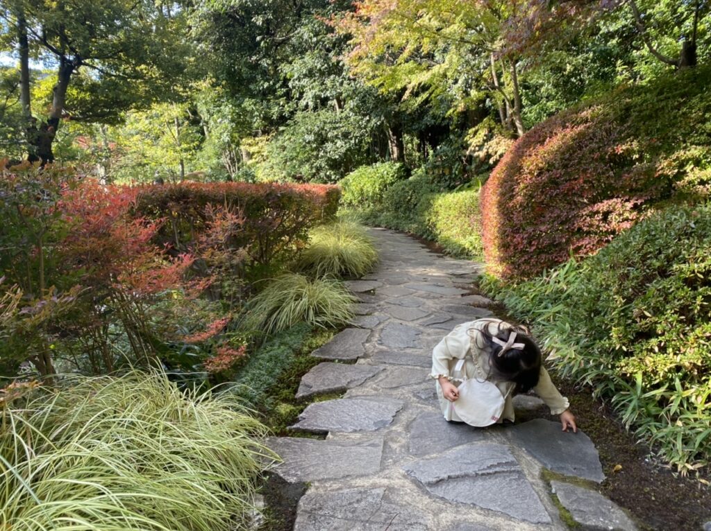フォーシーズンズ京都の庭園でどんぐりを拾う女の子